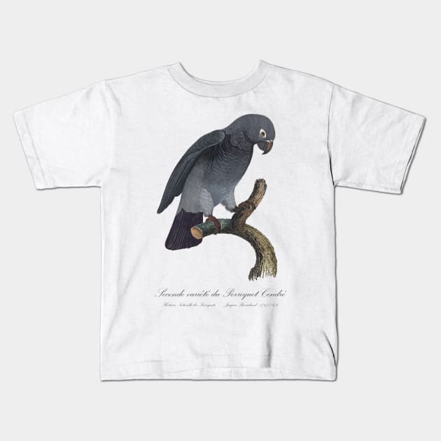 Timneh African Grey Parrot  / Seconde variete du Perroquet Cendre - 19th century Jacques Barraband Illustration Kids T-Shirt by SPJE Illustration Photography